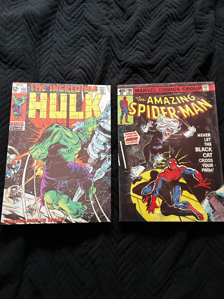 Marvel Comics Canvas Prints - Hulk & Spider-Man