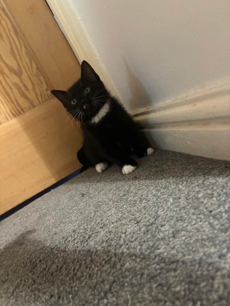 Sold ‼️‼️‼️