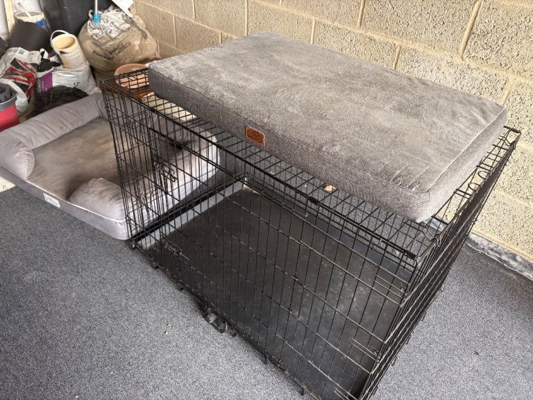 Large dog crate, bed and mat