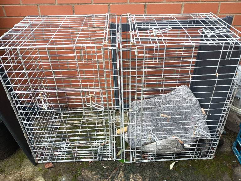 2 dog crates