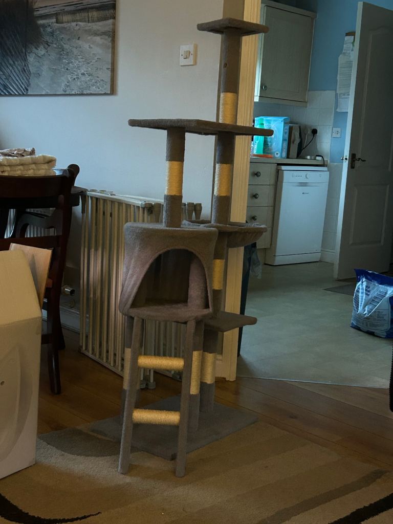 Cat tree in good condition