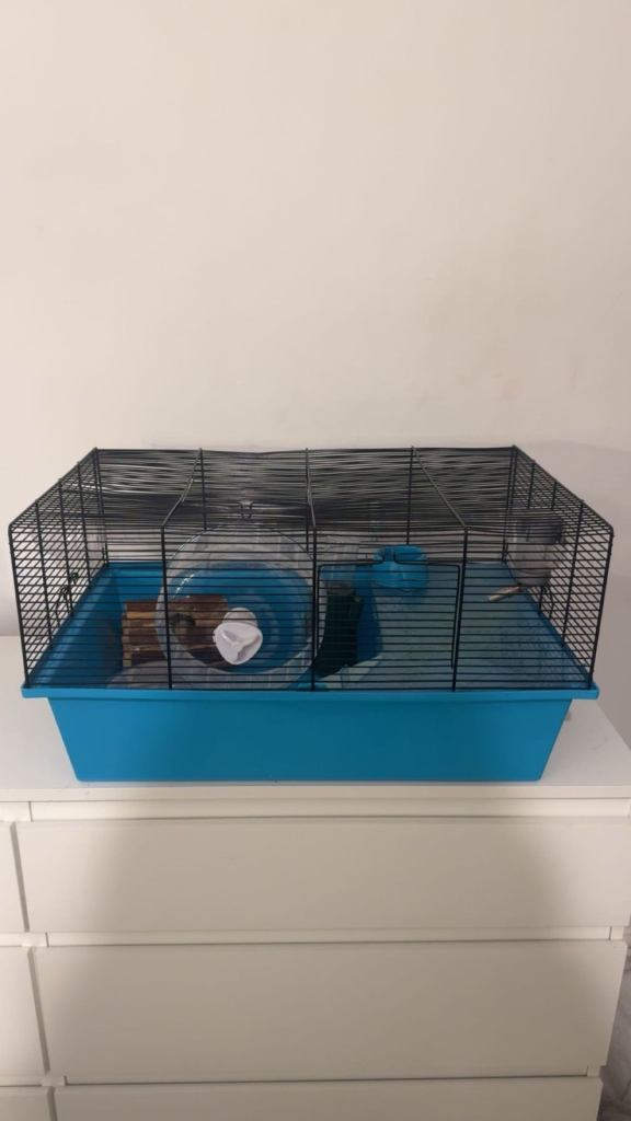 hamster cage 
