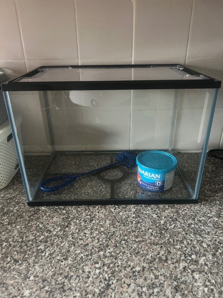 Small Glass Fish Tank with Net and Food