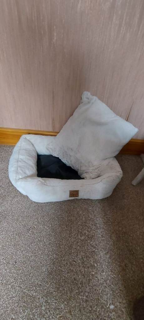 Pet bed