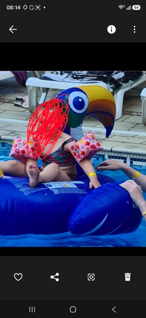Large toucan