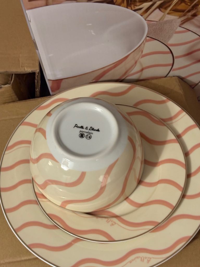 Brand new 12 piece dinner set