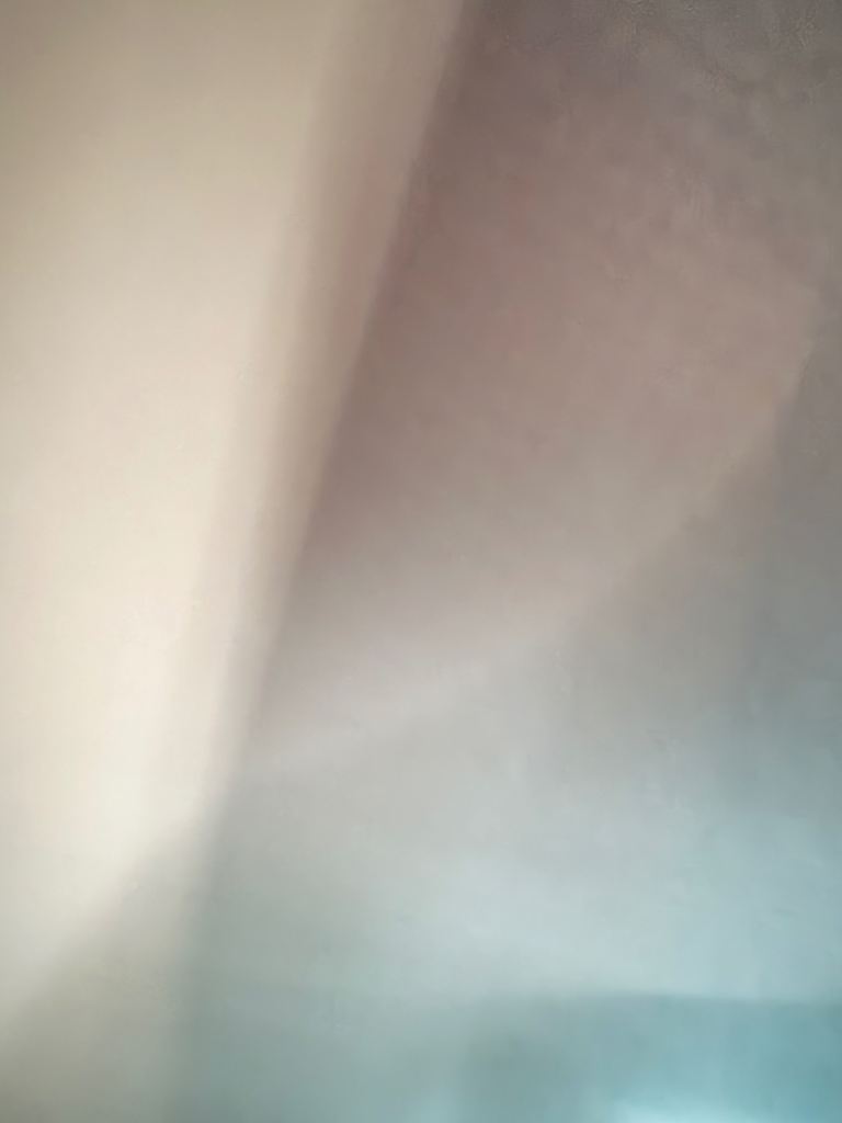 Looking for a house