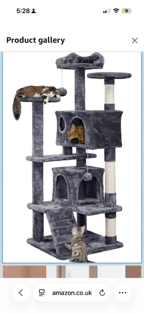 Month old cat tree 