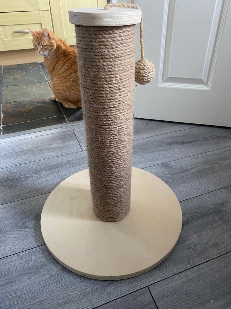 Cat Scratching Post with Toy