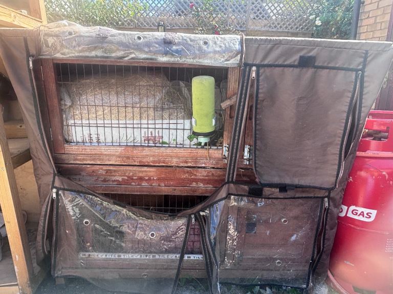 Free Rabbit / Guinea pig Hutch 