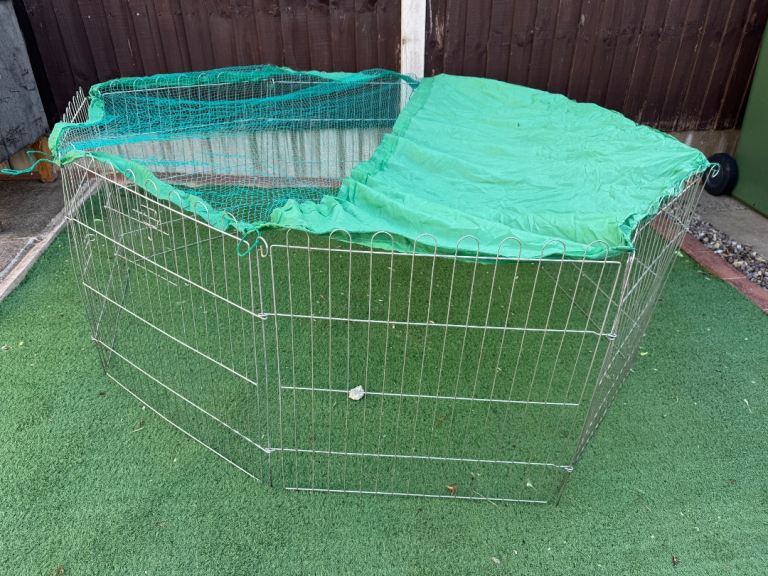 Rabbit outdoor play pen