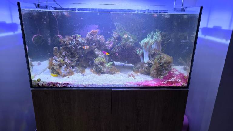 Fish tank for sale. Breaking down