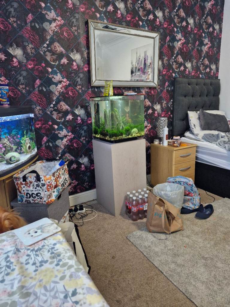 fish tank and extras