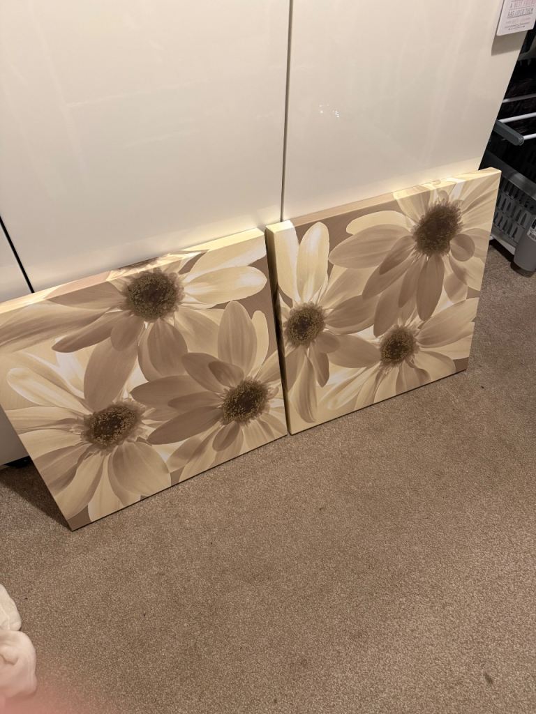 Canvas x2