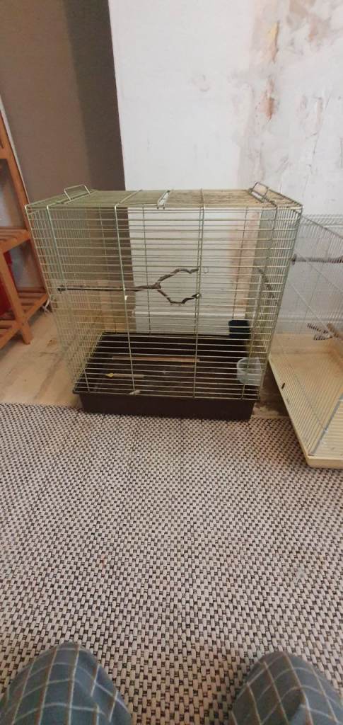 Bird cages 