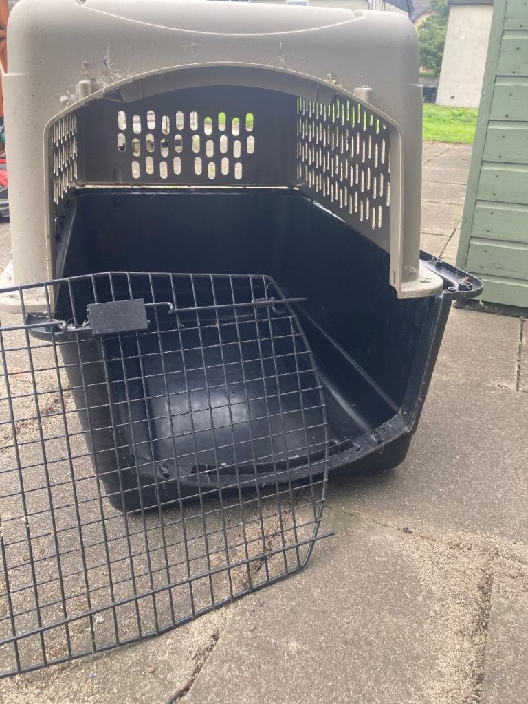 Large dog transporting box
