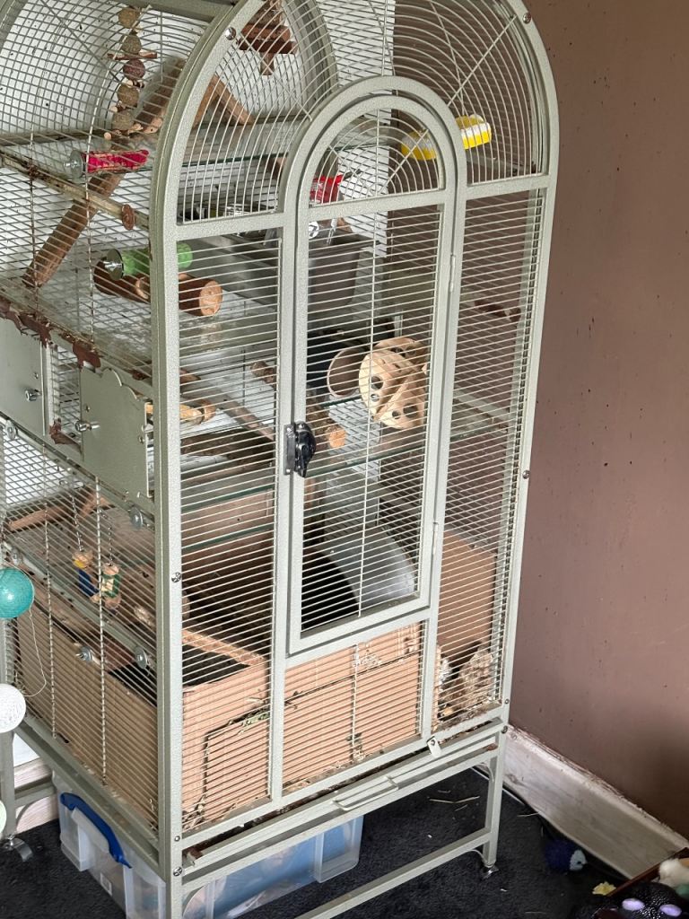 Converted parrot cage for small rodent ie degu, rats, ferrets