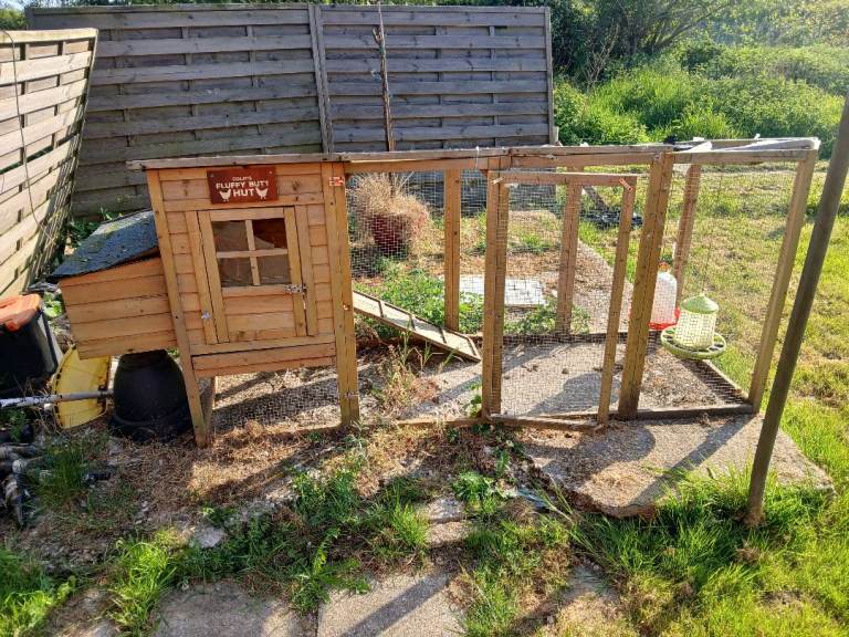 Chicken Coop