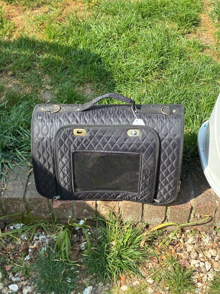 Luxury kitten carrier 