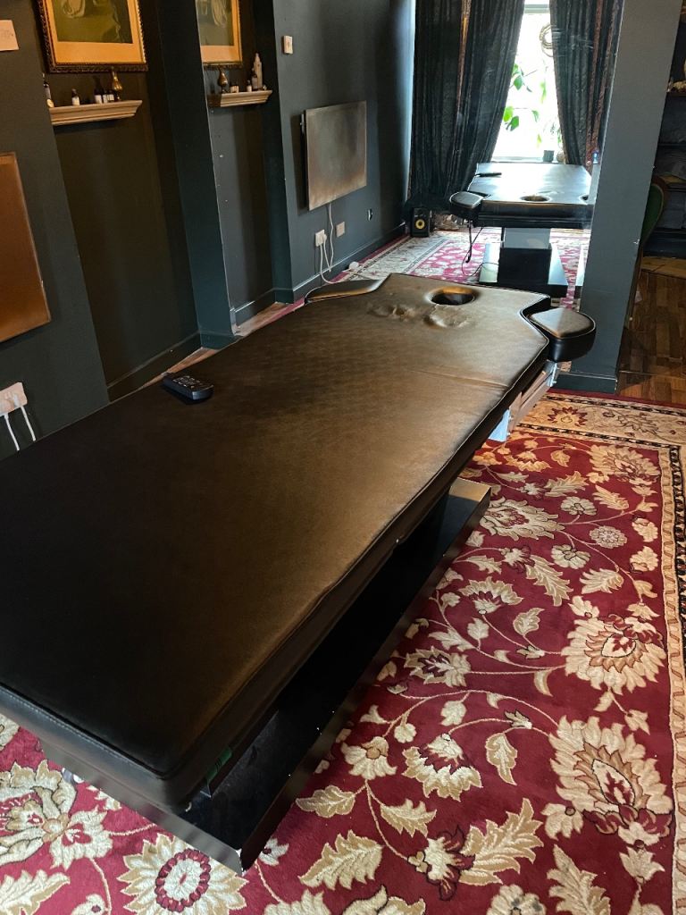 Professional Massage / Tattoo bed electric and reclining
