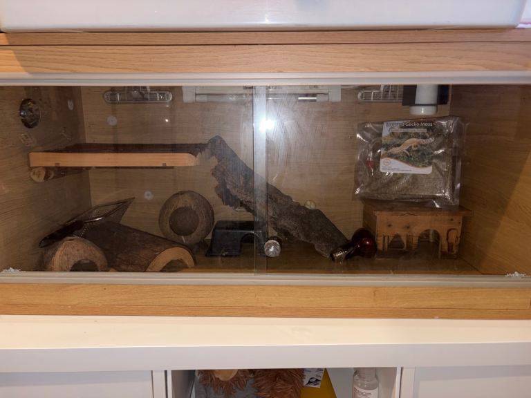 reptile vivarium 