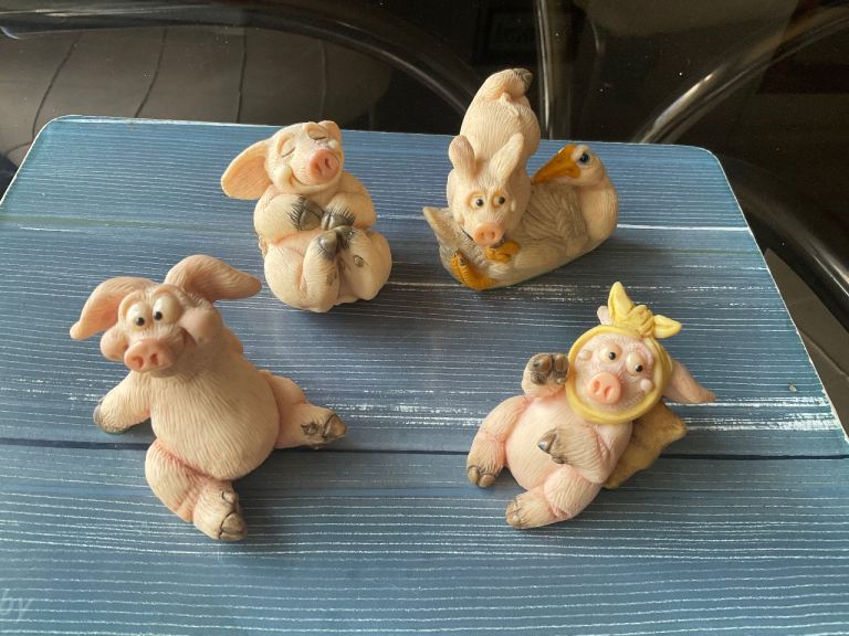 Collection of Pigins’