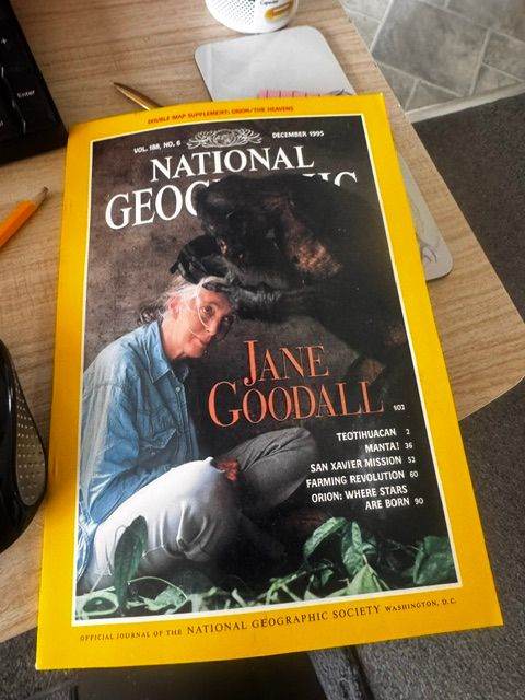 National Geographic Magazine - Jane Goodall December 1995 Issue