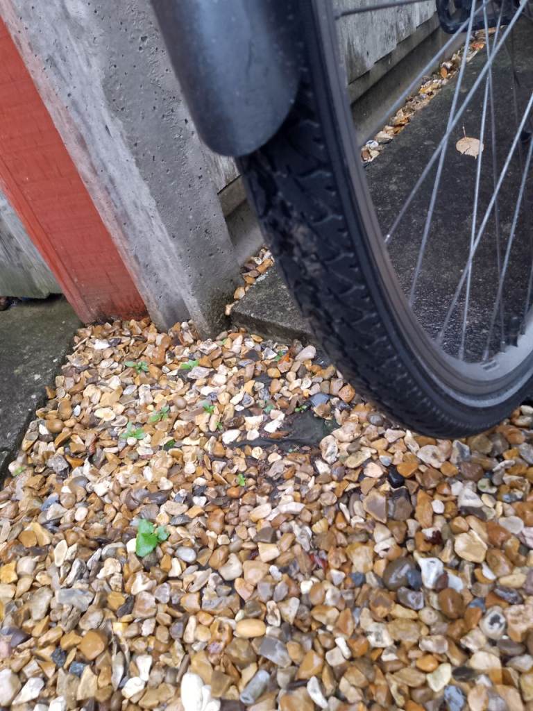 Raleigh Pioneer bike, £90.00 for Sale in Kesgrave, Suffolk | Gumtree