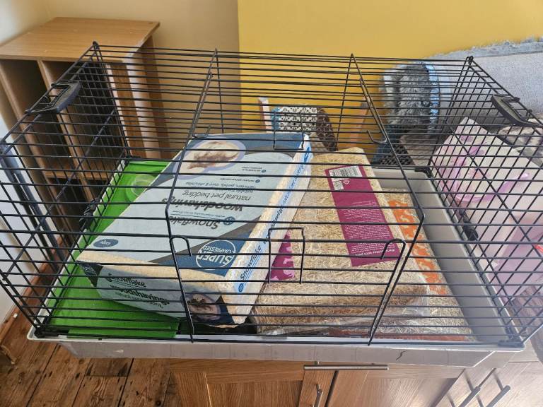 Hamster/guinea pig cage free
