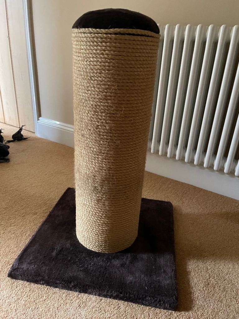 Big Boy Scratching Post