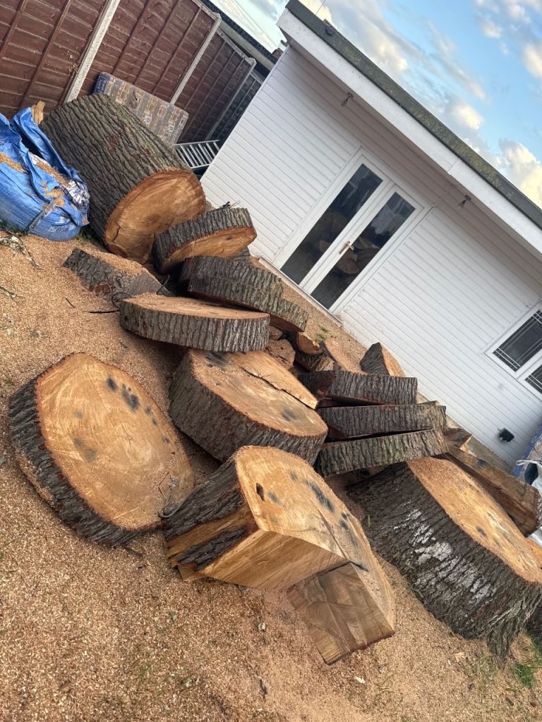 Natural Tree Wood