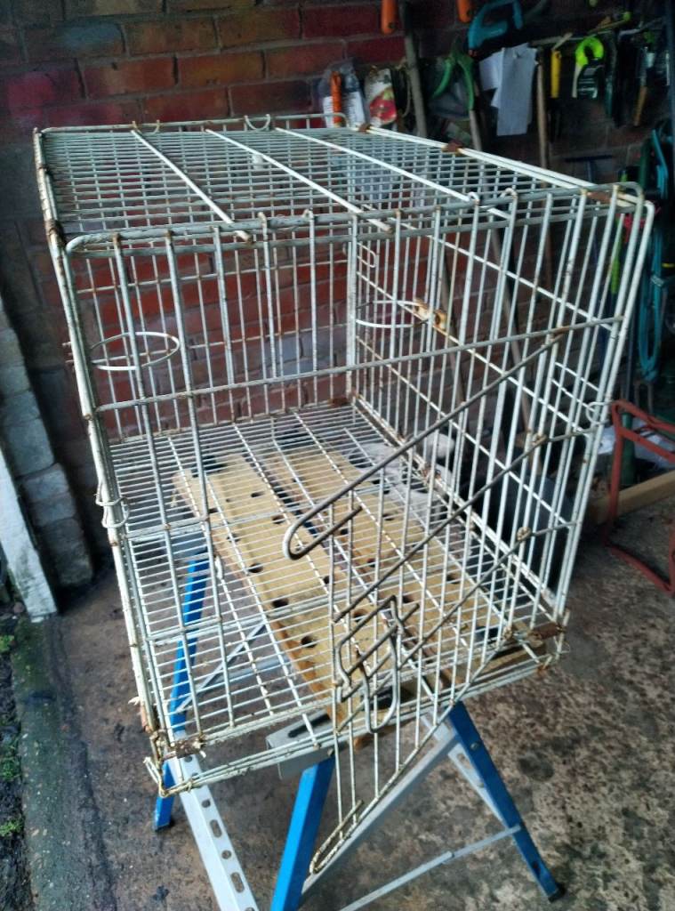 Metal Poultry / Bird Cage Large Size with locking door 2 feeder/water hoops
