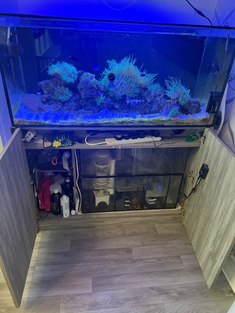 4ft marine fish tank and set up