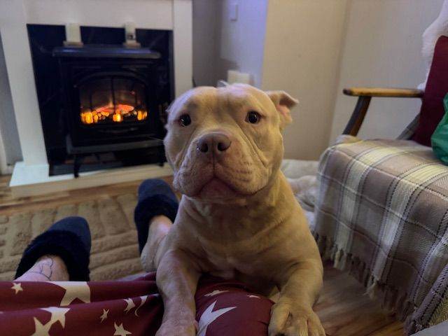 ROLO