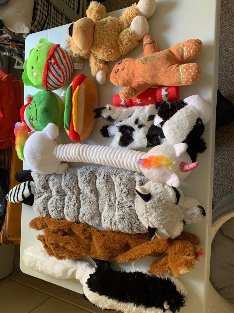 Medium dog bed and 11 toys 