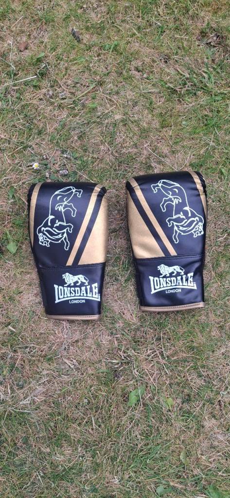1Pairs Lonsdale Boxing Gloves – Good Condition – Training / Sparring Set