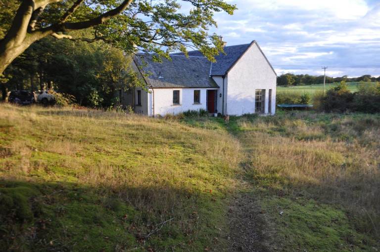 House and pet sitting needed