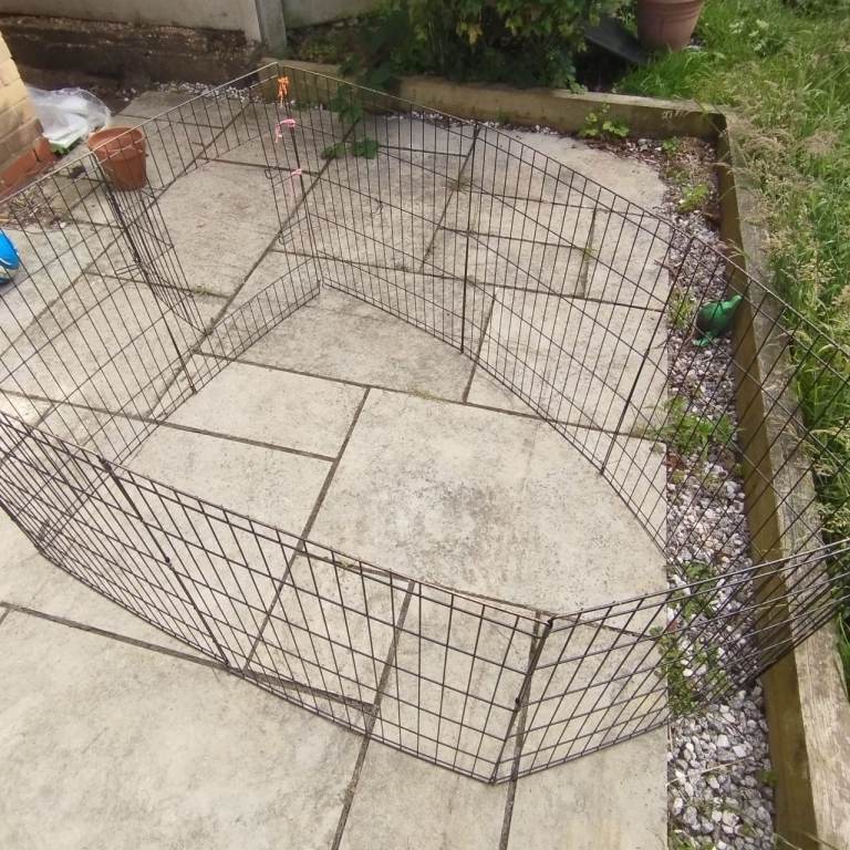 FREE Dog / Animal Cage