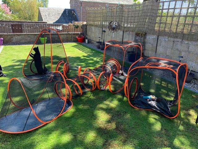 Outdoor Cat Run/Tunnels