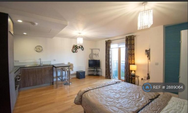 Studio flat in Phoenix Square, Leicester, LE1 (#2889064)