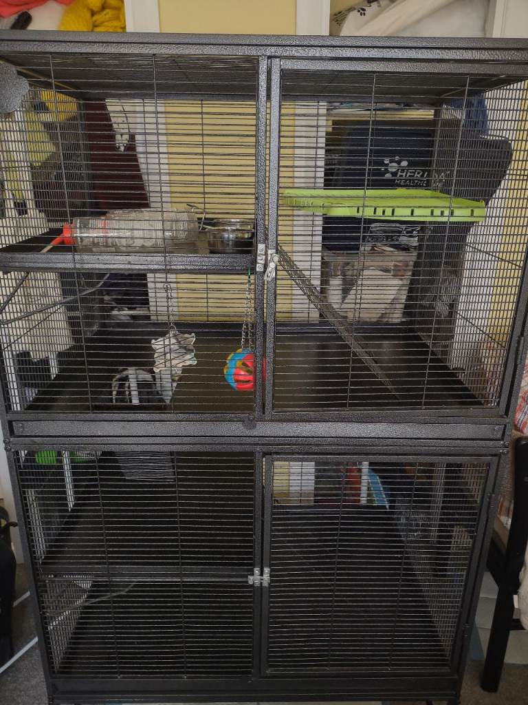 Double animal cage for small animals - accessories included