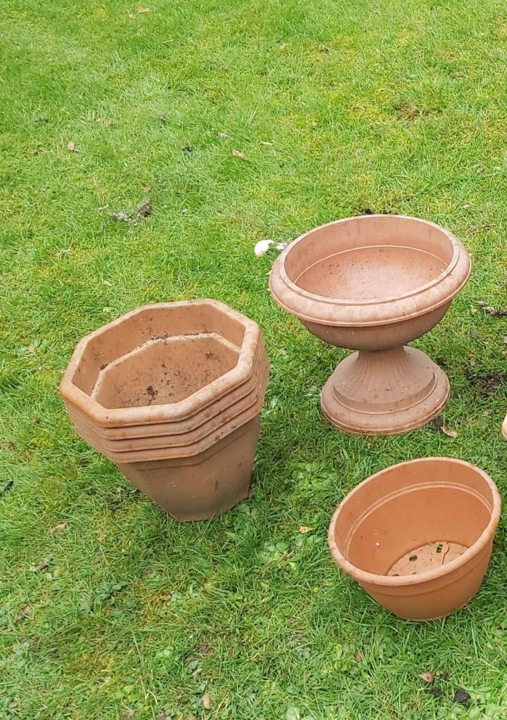 Plastic medium plant pots, £0.50 each