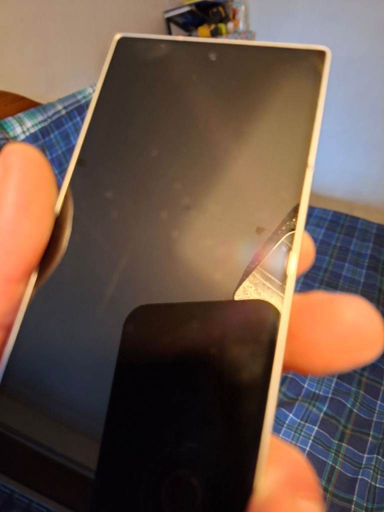 Samsung z fold 6 256g