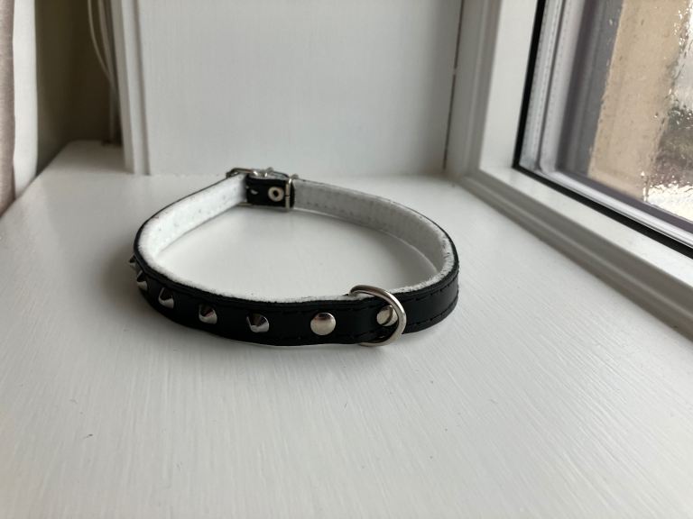 Leather puppy collar- punk accessories 