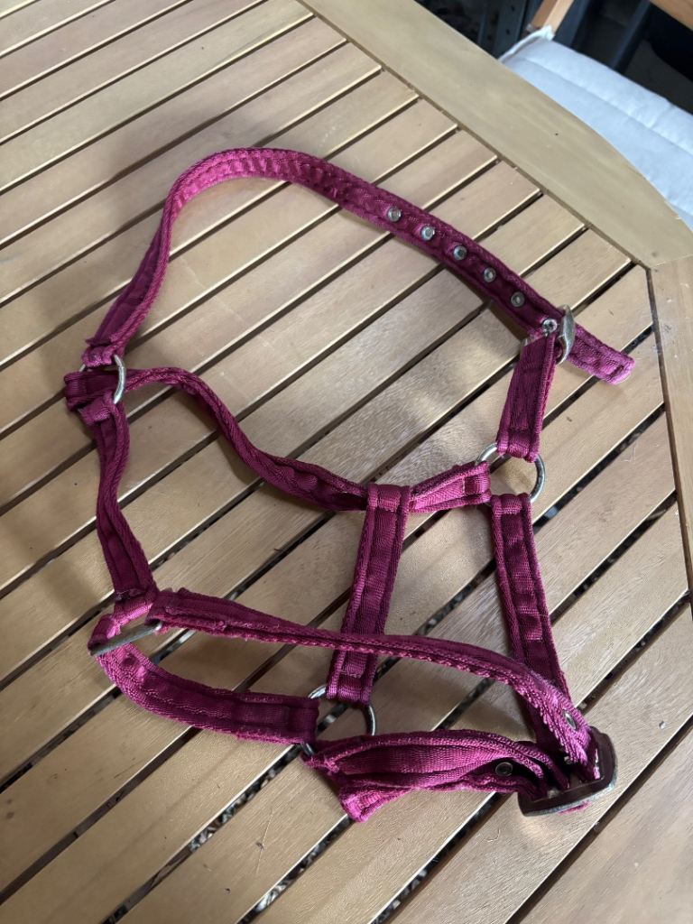 Pink cob Head collar 