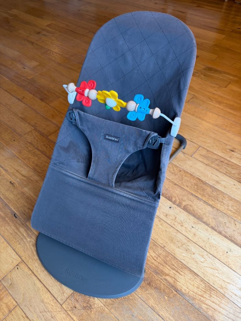 Babybjorn Bliss Bouncer