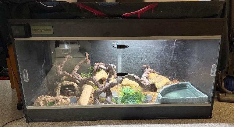4ft vivarium with everything with it good set up