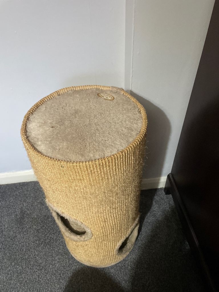 Cat scratch post 