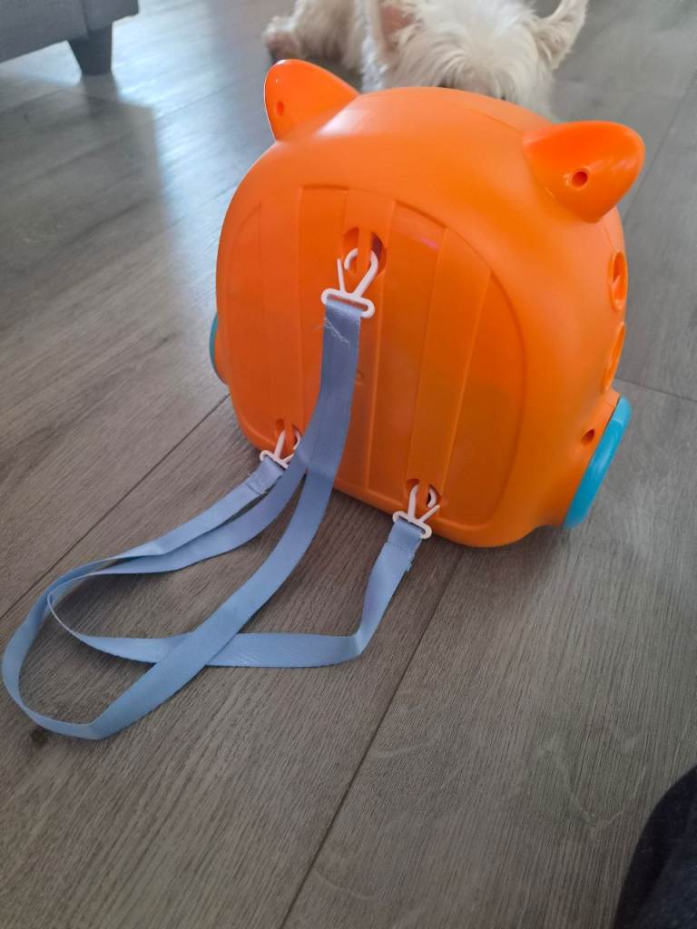 Interactive Toy Cat with Vet Carrier and Accessories
