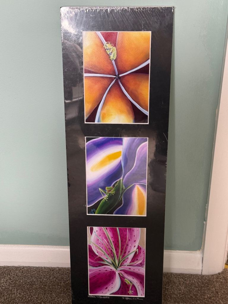 Flower and frog wall print